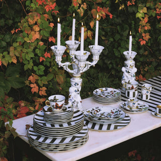 Sol Y Sombra and Butterfly Parade Dinnerware